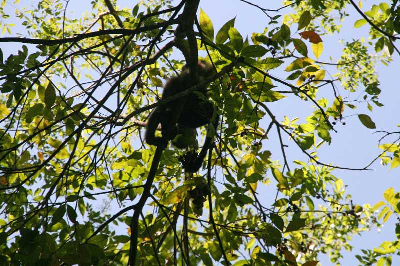 Mexico & Guatemala 2010 - 1095